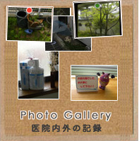 photo gallreyのリンクバー